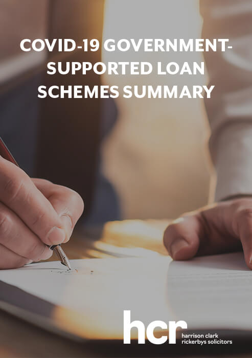 Covid-19 Government-supported loan schemes summary