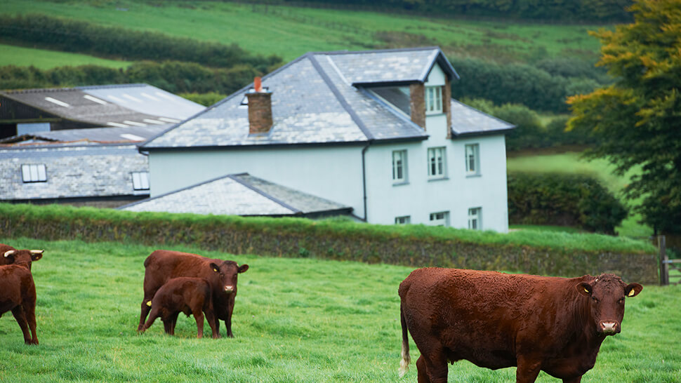 Farm Business Tenancy: BusinessHAB.com