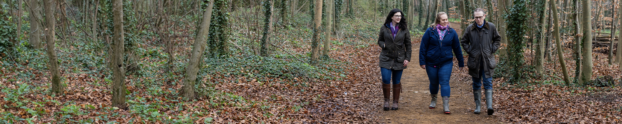 two women and one man walking in a forest. There are lots of leaves on the floor and trees on both side of their pathway. They are all wearing wellies, and smiling and laughing as they walk