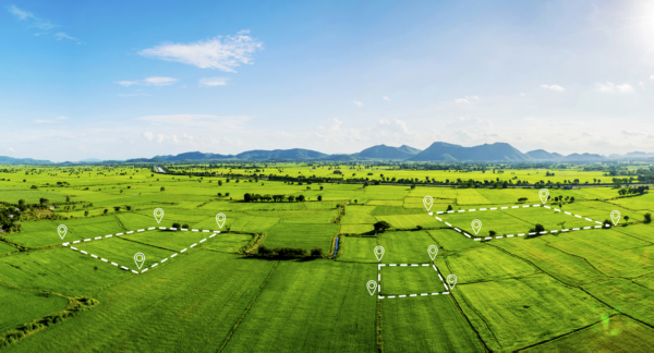 Three parcels of land shown by digitally drawn squares