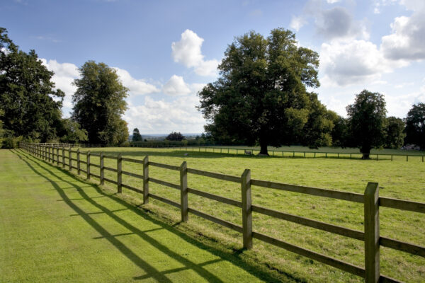 A photo of a green grassy field