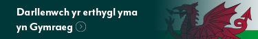 Translate to Welsh