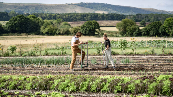 a photo of two farmers on a field