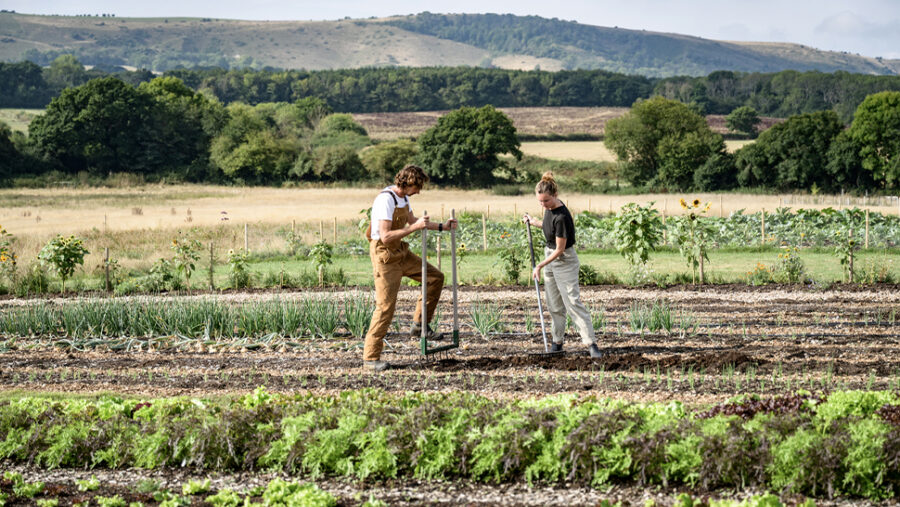 a photo of two farmers on a field