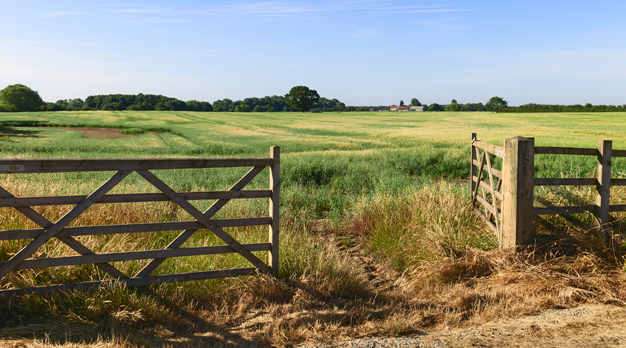 A picture of a farm field