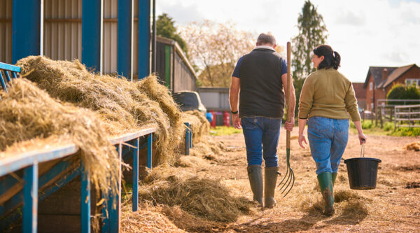Sustainable farmers checking a barn.