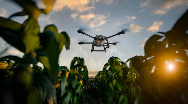 drone flying over crops