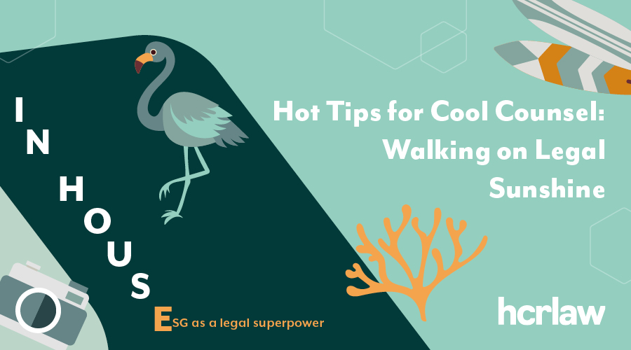 Summer-themed graphic with surfboard, camera, coral and flamingo. Text: “Hot Tips for Cool Counsel: Walking on Legal Sunshine.”