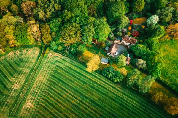 Aerial view of houses near a field