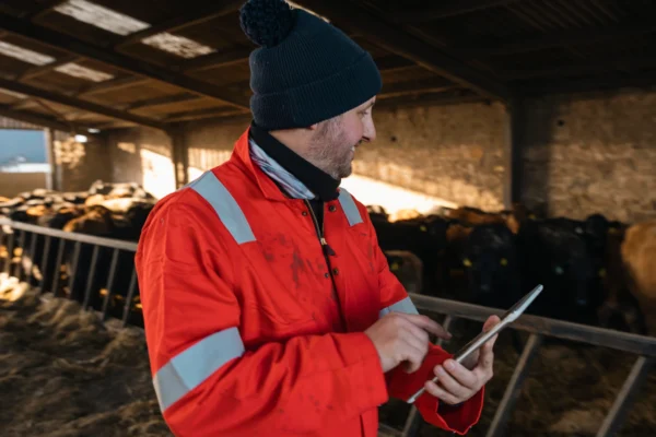 A farmer checking an electronic pad