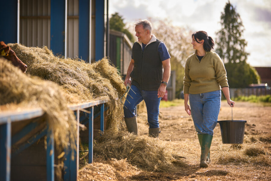 A UK farming family