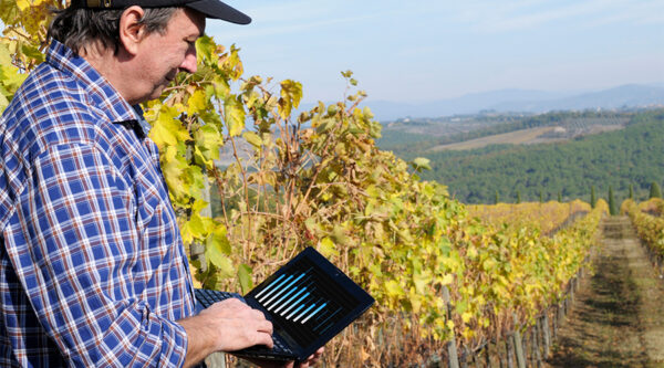 A farmer checking his interest rate