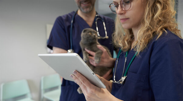 A vet checking a contract