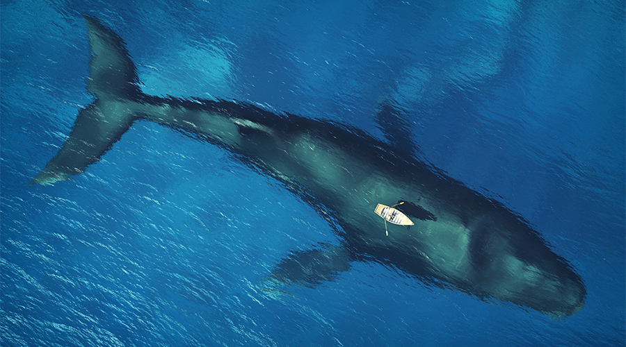 A small rowboat floats on calm, deep blue water directly above a massive whale swimming just beneath the surface.