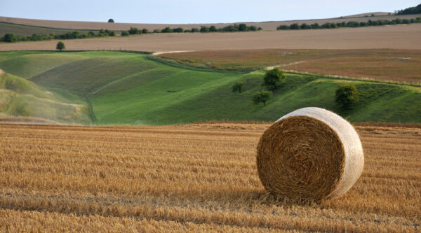 Drought Article