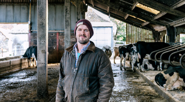 A farmer in their cattle shed