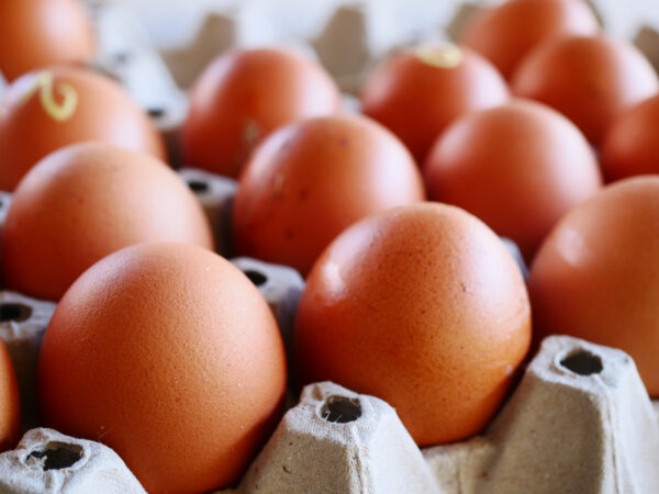 Eggs