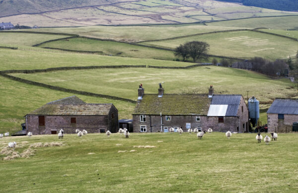 A farm estate