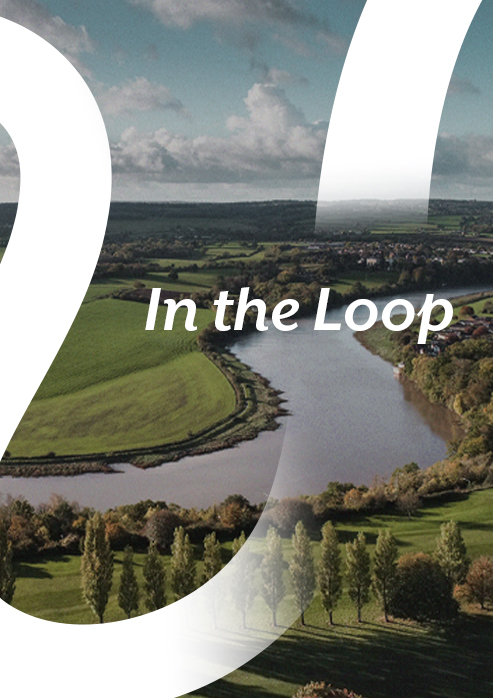 In the Loop graphic